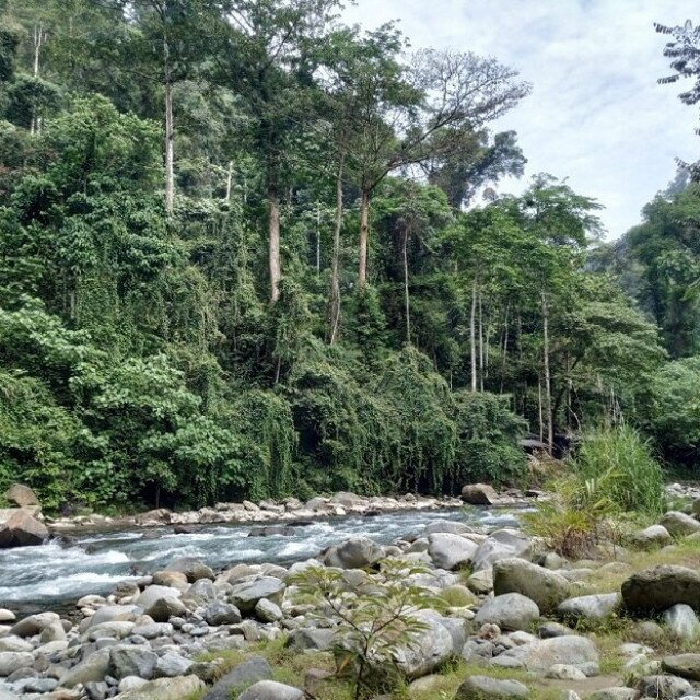 Izgalmas dzsungeltúra Szumátrán