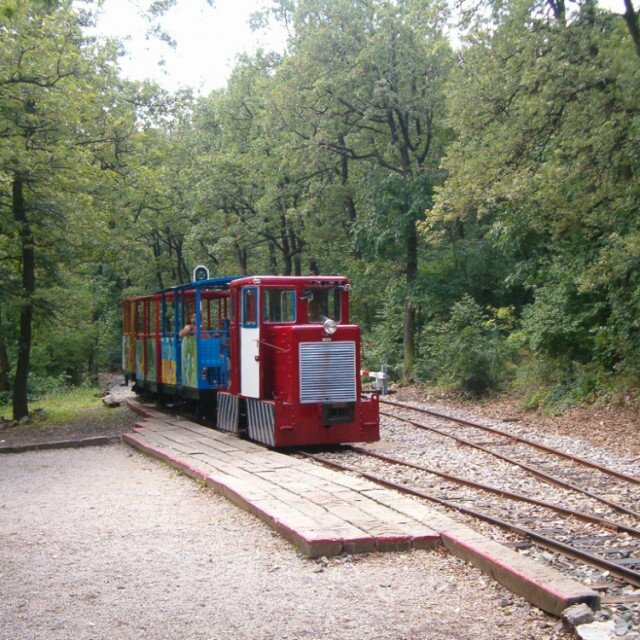Forest train